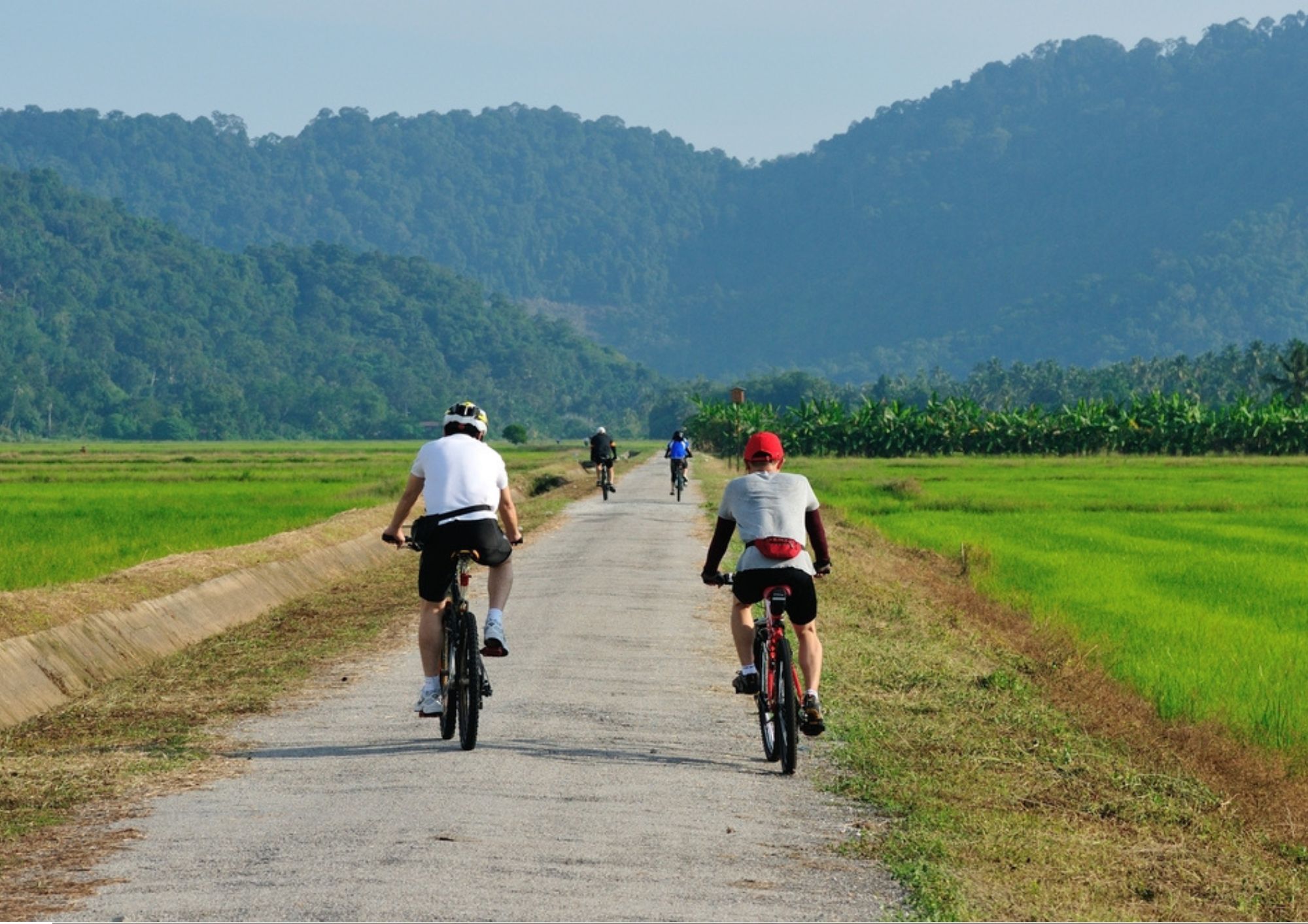 Homestay & Cycling at Balik Pulau